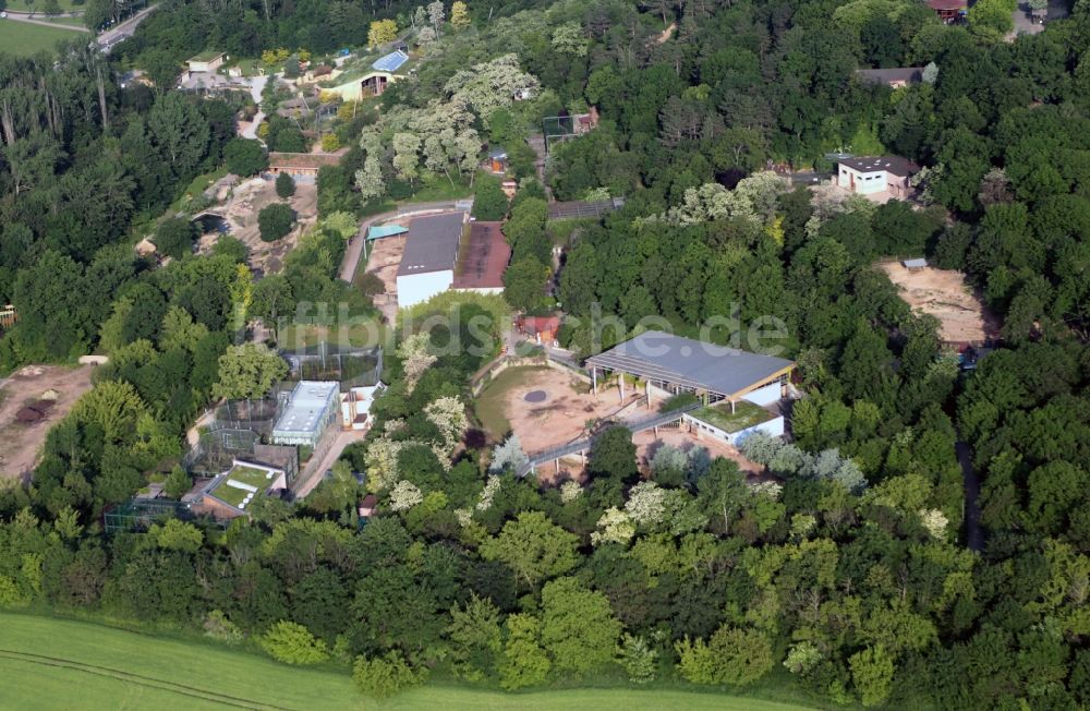 Luftaufnahme Erfurt - Neubau im Thüringer Zoopark in Erfurt im Bundesland Thüringen