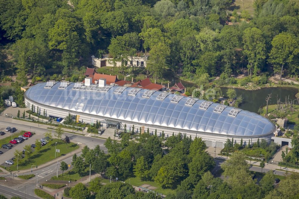 Luftaufnahme Gelsenkirchen - Neubau des Tropenhaus in der ZOOM - Erlebniswelt Gelsenkirchen in Nordrhein-Westfalen