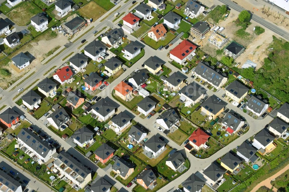 Berlin von oben - Neubau- Wohngebiet der Einfamilienhaus- Siedlung Theodorpark im Ortsteil Mahlsdorf in Berlin, Deutschland