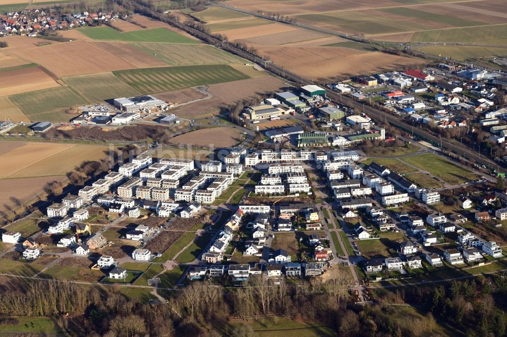 Bad Krozingen aus der Vogelperspektive: Neubau- Wohngebiet Kurgarten in Bad Krozingen im Bundesland Baden-Württemberg