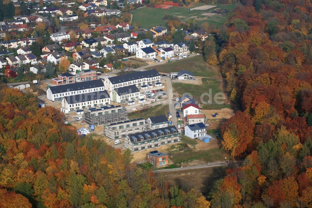 Grenzach-Wyhlen aus der Vogelperspektive: Neubauten im Wohngebiet Neufeld Süd in Grenzach-Wyhlen im Bundesland Baden-Württemberg