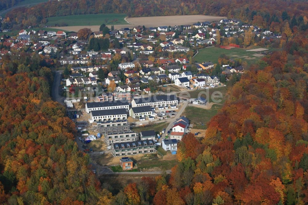 Luftbild Grenzach-Wyhlen - Neubauten im Wohngebiet Neufeld Süd in Grenzach-Wyhlen im Bundesland Baden-Württemberg