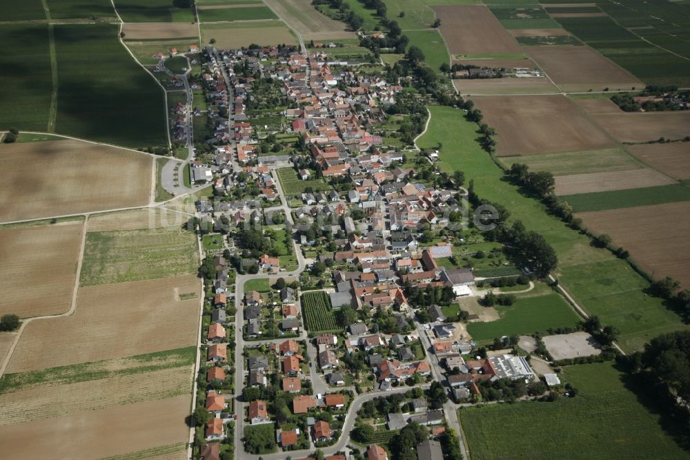 Duttweiler aus der Vogelperspektive: Neustadt an der Weinstraße OT Duttweiler im Bundesland Rheinland-Pfalz