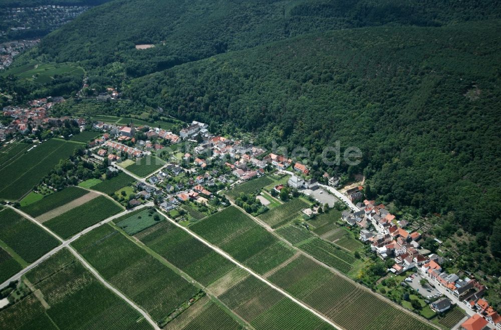 Haardt von oben - Neustadt an der Weinstraße OT Haardt im Bundesland Rheinland-Pfalz