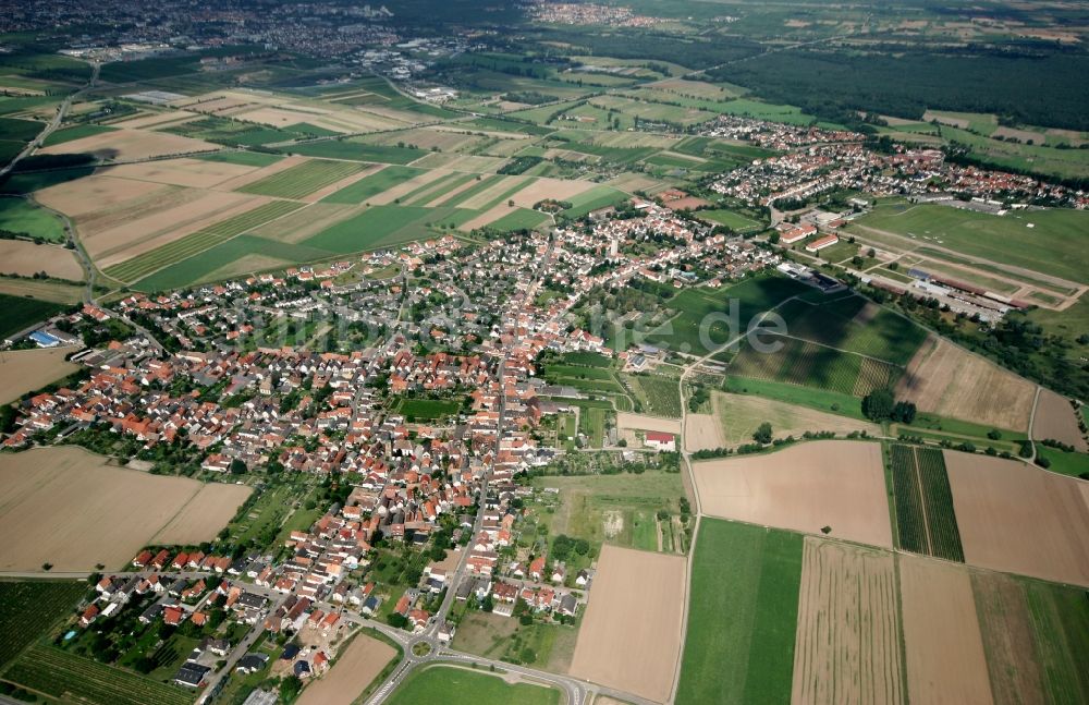 Lachen-Speyerdorf aus der Vogelperspektive: Neustadt an der Weinstraße OT Lachen-Speyerdorf im Bundesland Rheinland-Pfalz