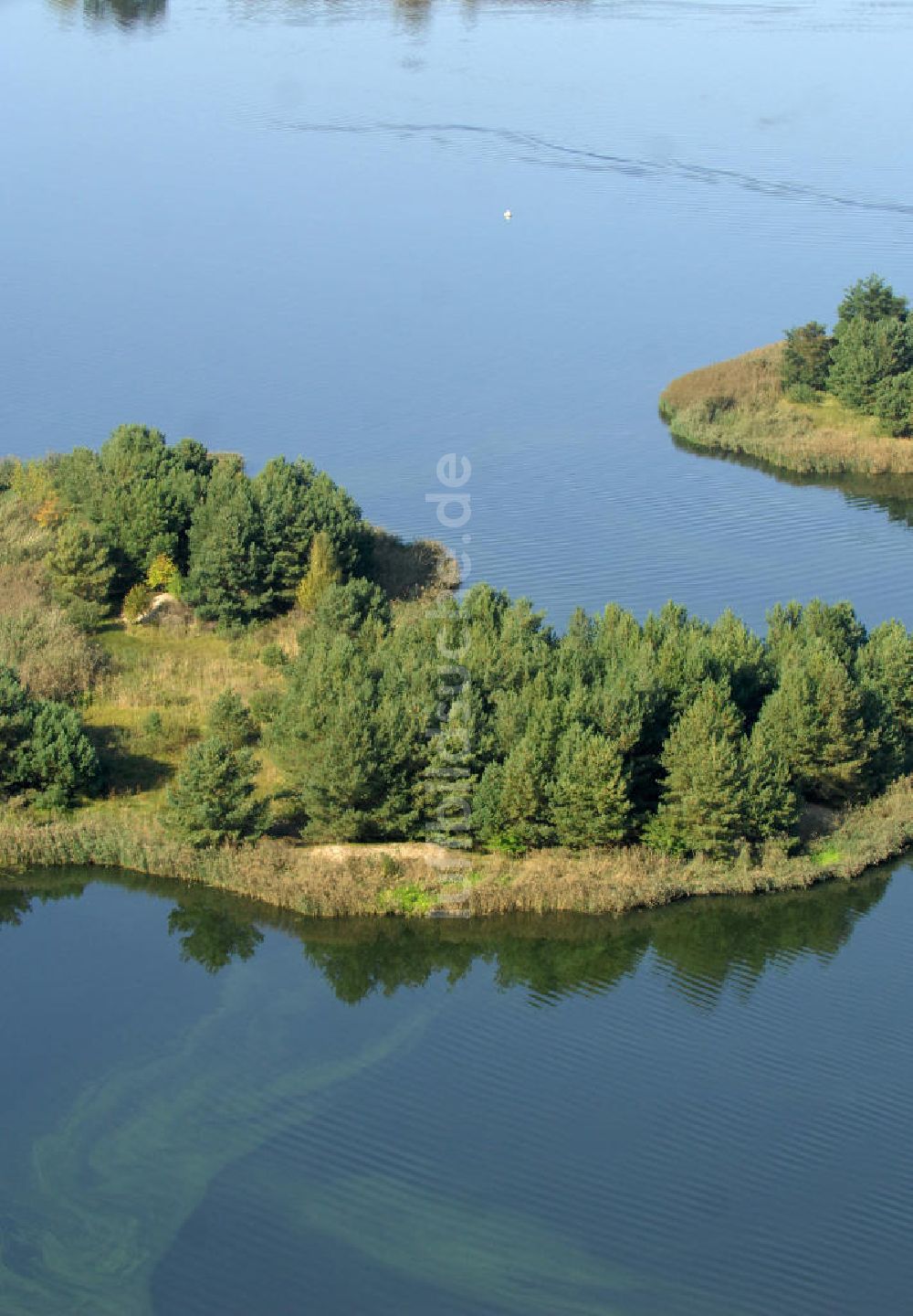 Luftbild Niegripp - Niegripper See