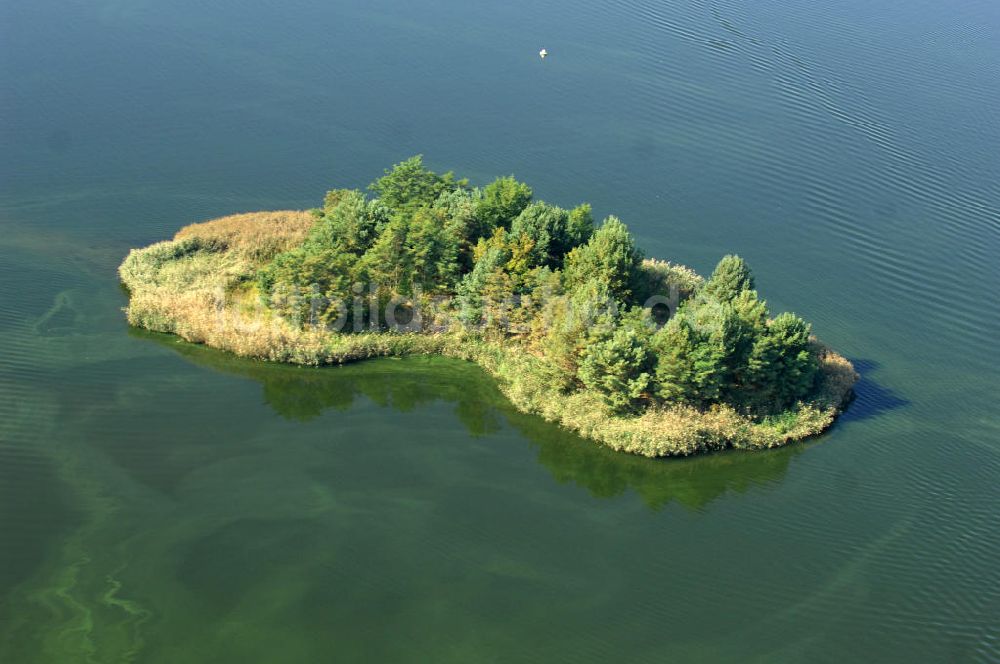 Luftaufnahme Niegripp - Niegripper See