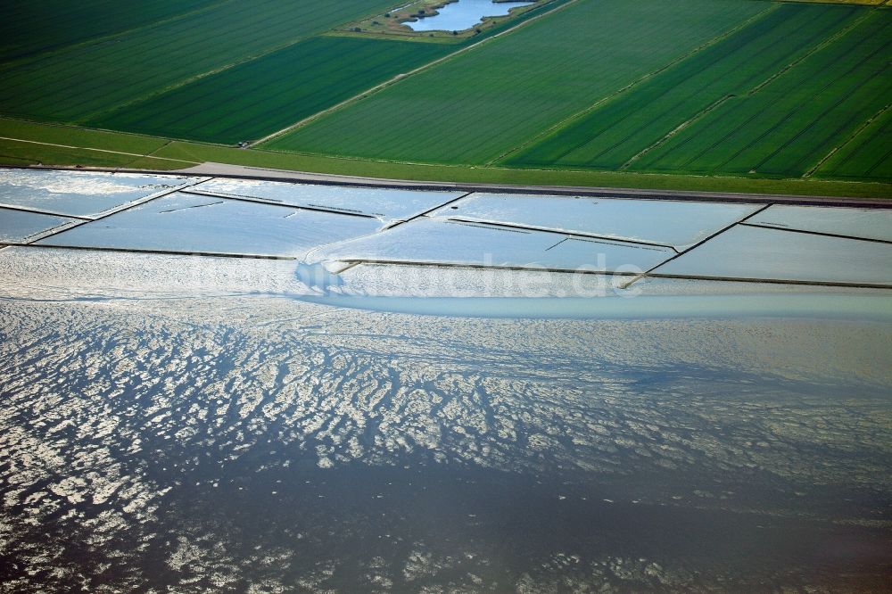 Altdeich von oben - Nordseeküste bei Altendeich im Bundesland Niedersachsen