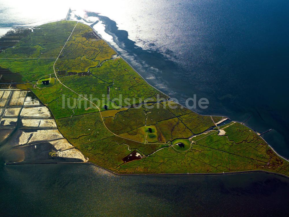 Luftbild Nordstrandischmoor - Nordstrandischmoor in Schleswig-Holstein