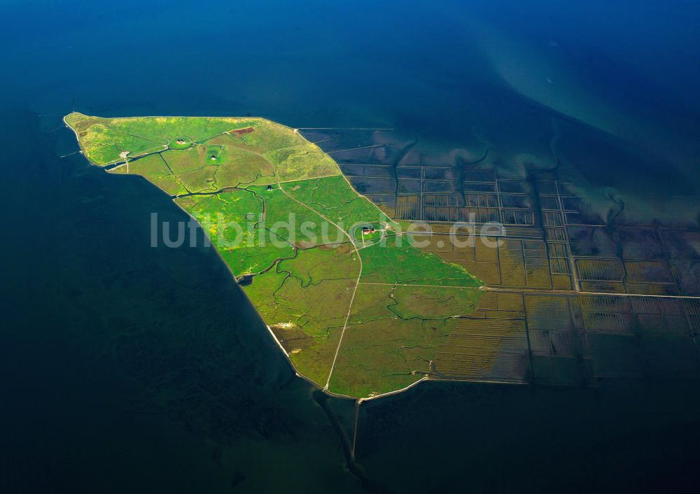 Nordstrandischmoor aus der Vogelperspektive: Nordstrandischmoor in Schleswig-Holstein