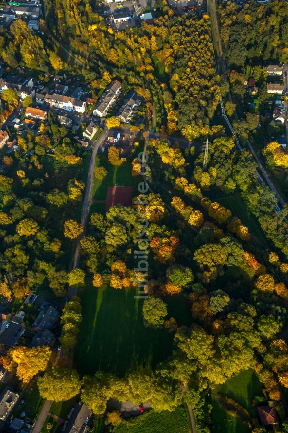 Luftbild Gladbeck - Nördliches Ende der herbstlichen Parkanlage Stadtgarten Johow im Westen von Gladbeck im Bundesland Nordrhein-Westfalen