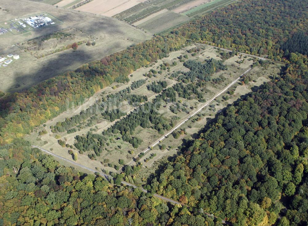 Luftbild Mainz - Ober-Olmer Wald bei Mainz im Herbst