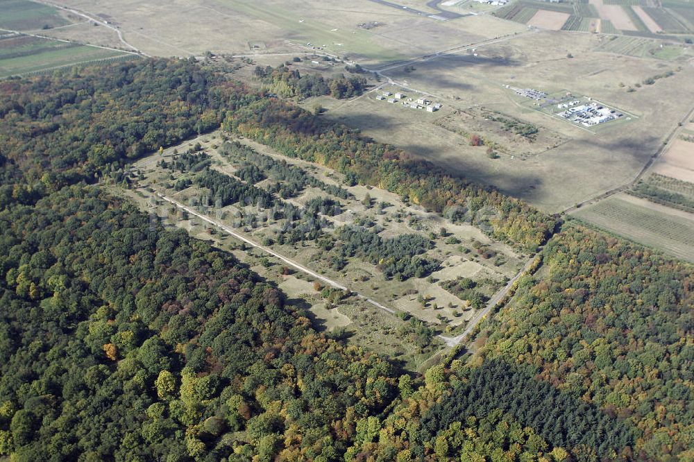 Luftaufnahme Mainz - Ober-Olmer Wald bei Mainz im Herbst