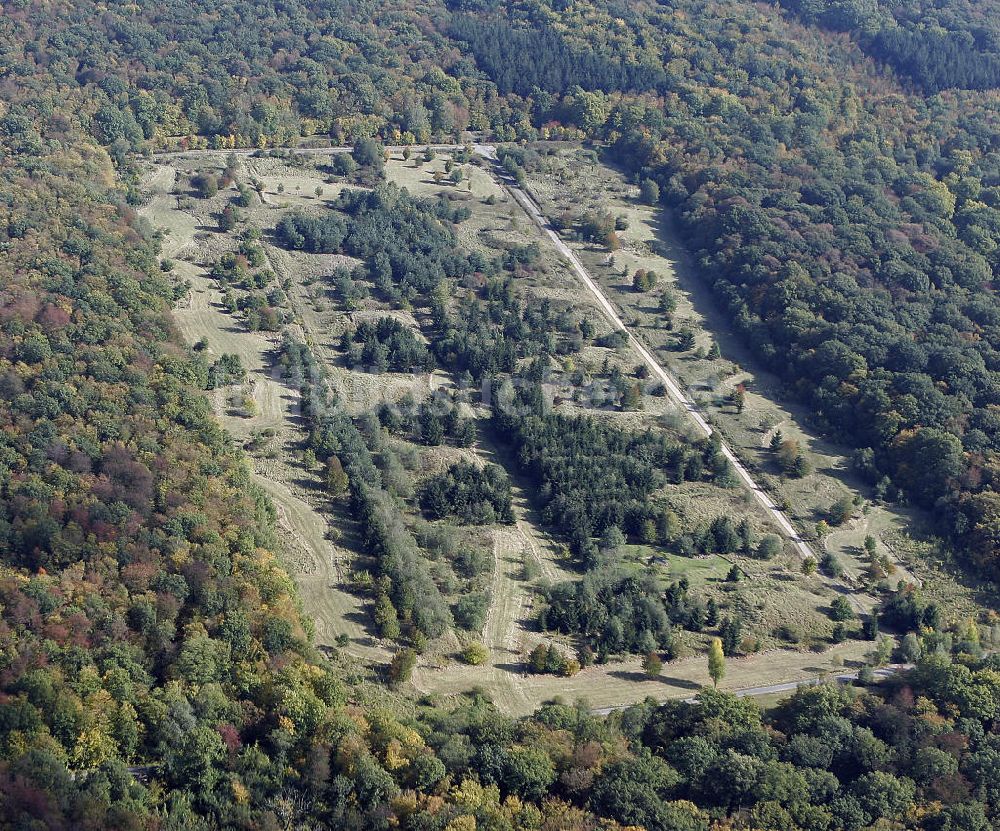 Mainz von oben - Ober-Olmer Wald bei Mainz im Herbst