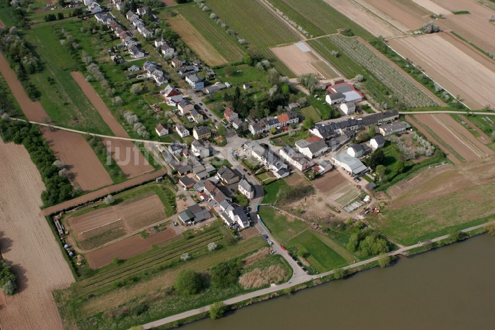 Luftaufnahme Trier Zewen - Oberkirch im Ortsbezirk Zewen in Trier im Bundesland Rheinland-Pfalz