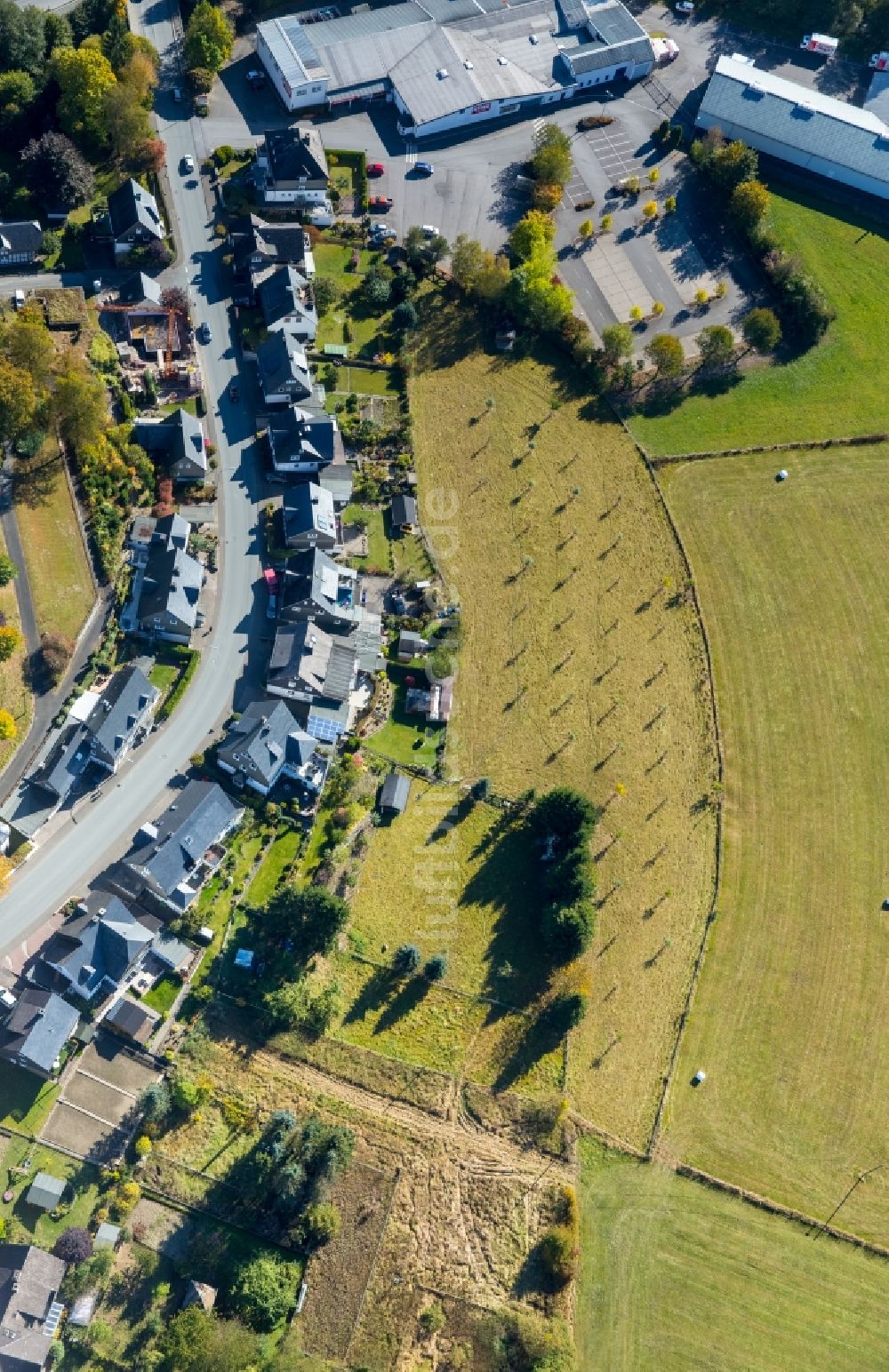 Schmallenberg aus der Vogelperspektive: Obstanbau- Plantage auf einem Feld Unterm Werth in Schmallenberg im Bundesland Nordrhein-Westfalen