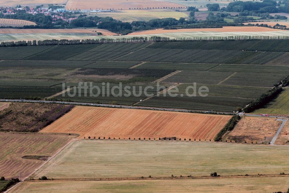 Luftaufnahme Gierstädt - Obstanbaugebiet Fahner Höhe mit Obstplantagen in Gierstädt in Thüringen