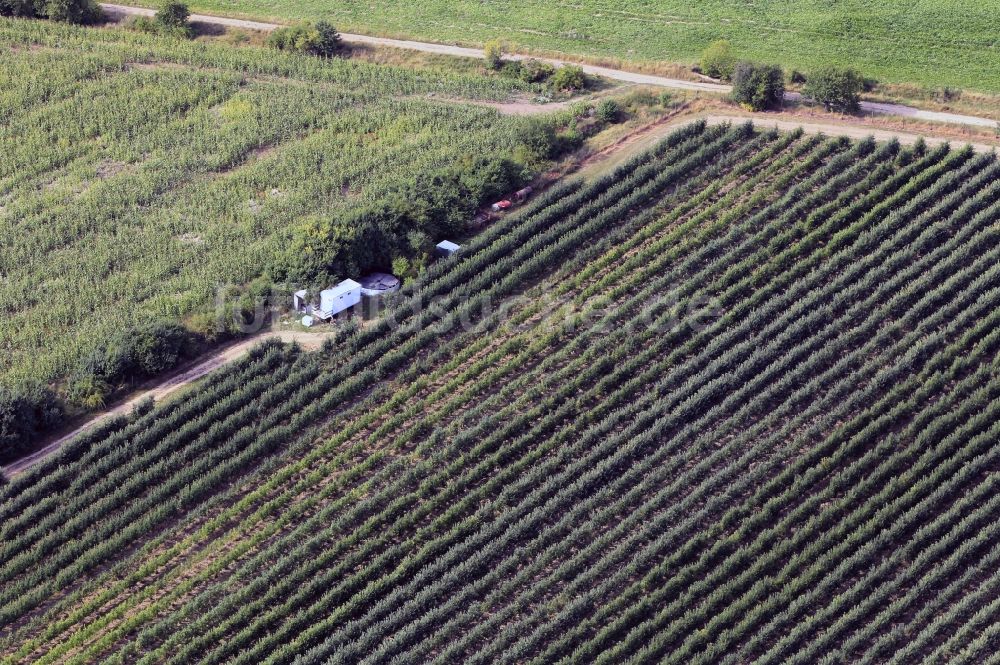 Gierstädt von oben - Obstanbaugebiet Fahner Höhe mit Obstplantagen in Gierstädt in Thüringen