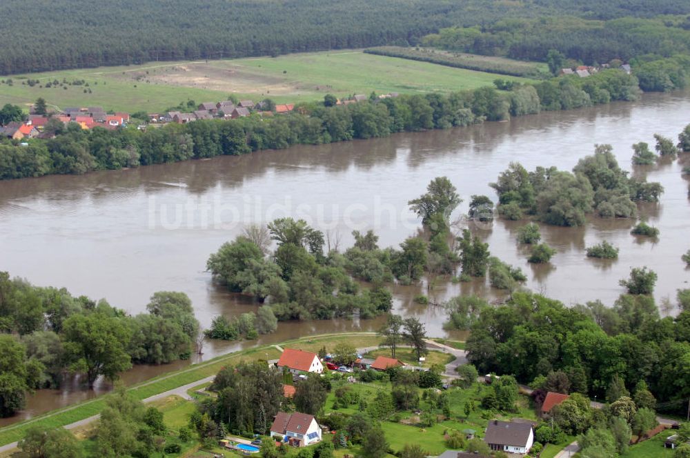 Luftaufnahme Ziltendorf - Oder Hochwasser bei Ziltendorf in Brandenburg