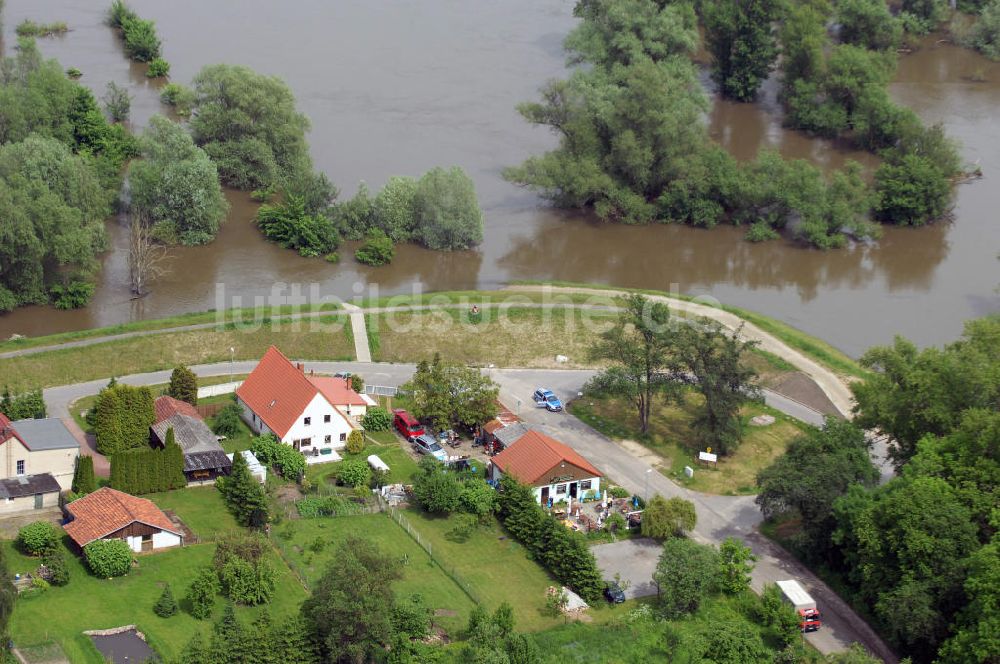 Ziltendorf aus der Vogelperspektive: Oder Hochwasser bei Ziltendorf in Brandenburg