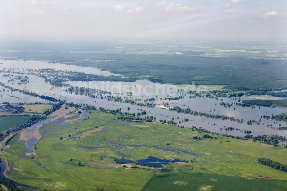 Luftaufnahme Schwedt - Oderhochwasser