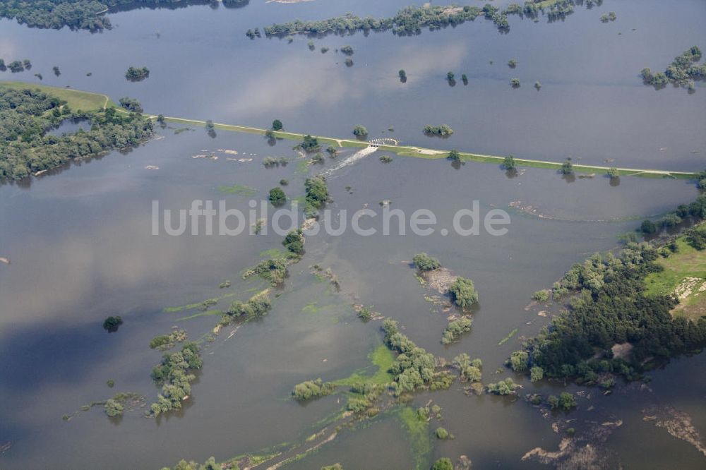 Schwedt von oben - Oderhochwasser