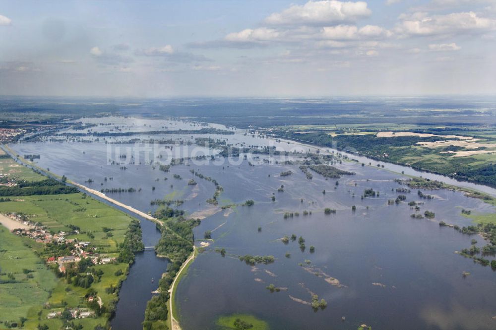 Schwedt aus der Vogelperspektive: Oderhochwasser