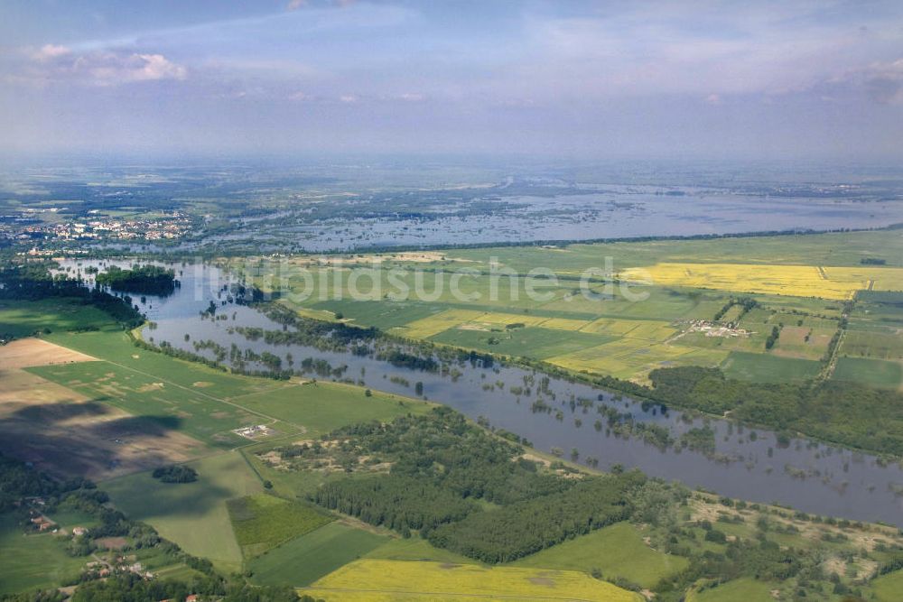 Luftaufnahme Schwedt - Oderhochwasser