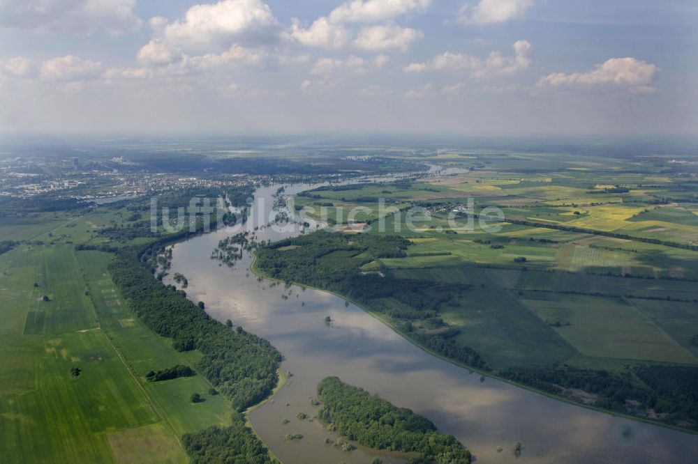 Eisenhüttenstadt von oben - Oderhochwasser