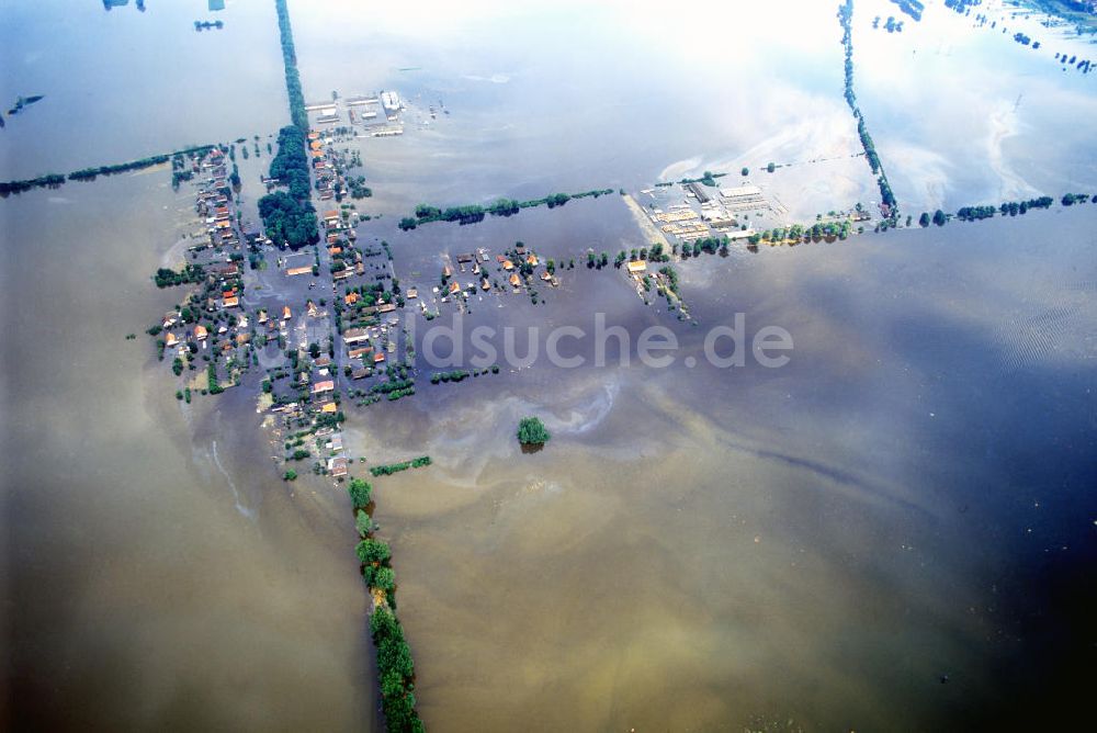 Ziltendorf von oben - Oderhochwasser in Ziltendorf OT Ernst-Thälmann-Siedlung