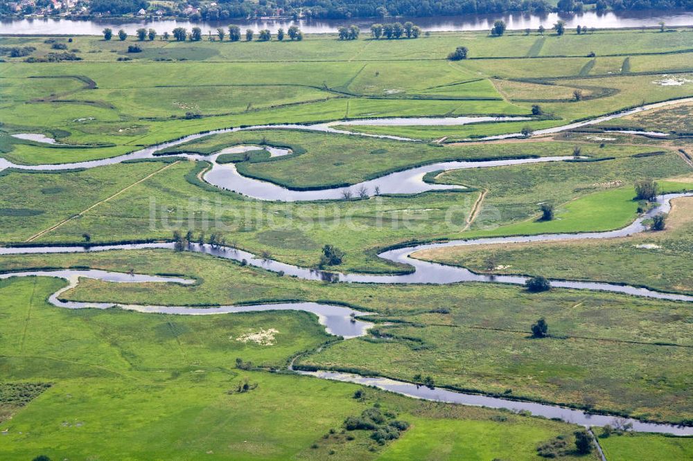 Schwedt / Oder von oben - Oderpark / Nationalpark unteres Odertal nördlich von Schwedt