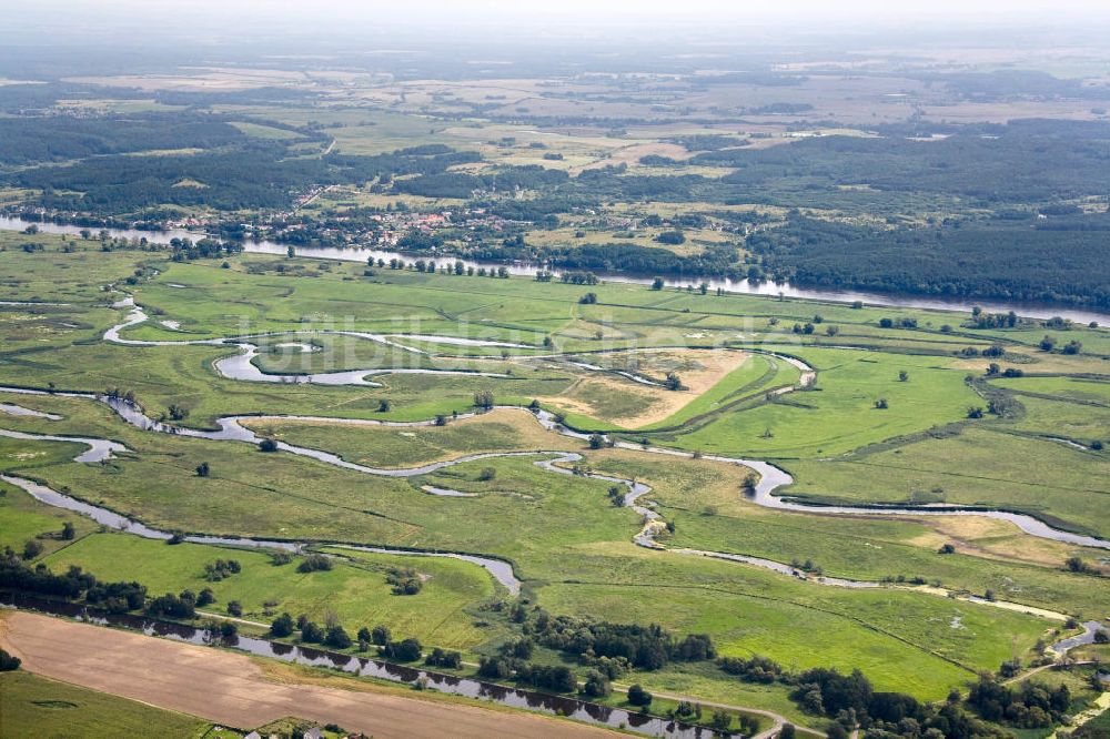 Luftbild Schwedt / Oder - Oderpark / Nationalpark unteres Odertal nördlich von Schwedt