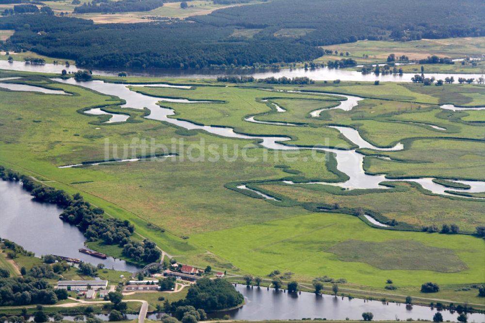 Luftaufnahme Schwedt / Oder - Oderpark / Nationalpark unteres Odertal nördlich von Schwedt