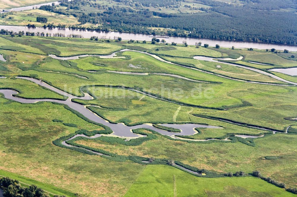 Schwedt / Oder von oben - Oderpark / Nationalpark unteres Odertal nördlich von Schwedt