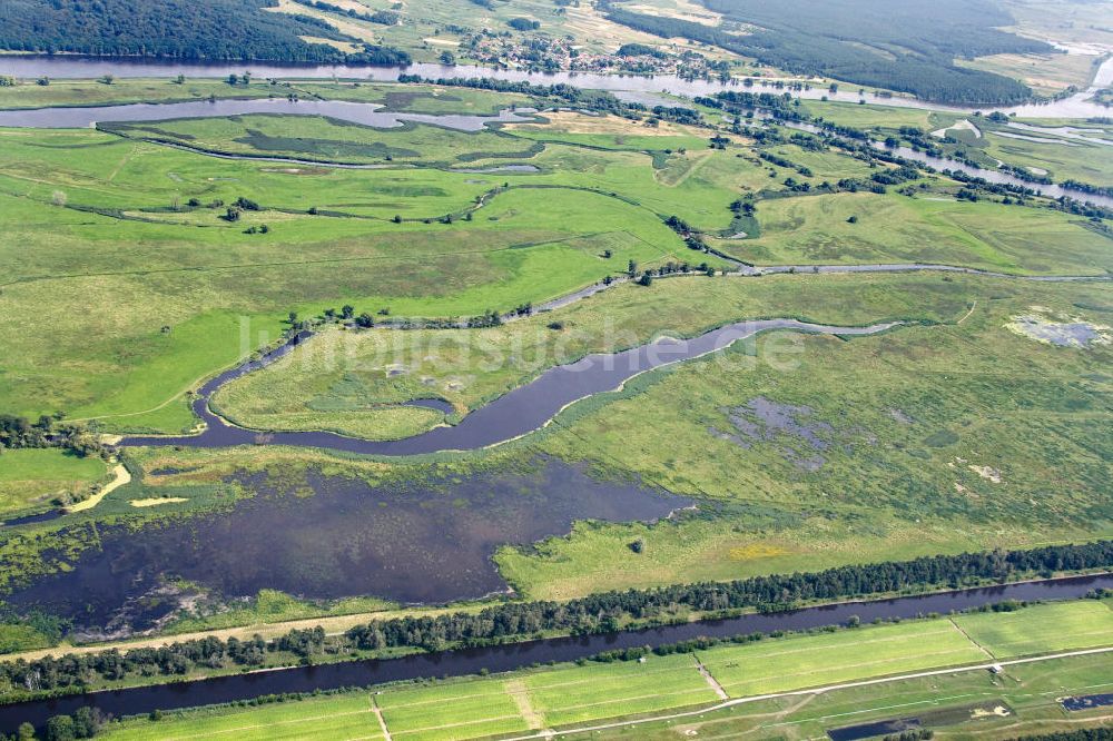 Schwedt / Oder aus der Vogelperspektive: Oderpark / Nationalpark unteres Odertal nördlich von Schwedt