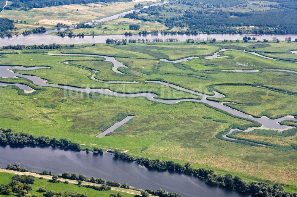 Luftbild Schwedt / Oder - Oderpark / Nationalpark unteres Odertal nördlich von Schwedt