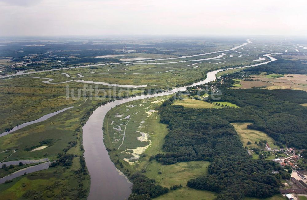 Luftaufnahme Schwedt / Oder - Oderpark / Nationalpark unteres Odertal nördlich von Schwedt