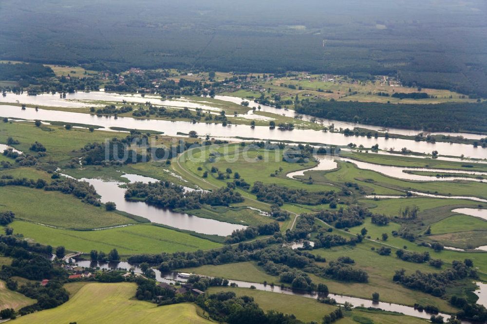 Schwedt / Oder von oben - Oderpark / Nationalpark unteres Odertal nördlich von Schwedt