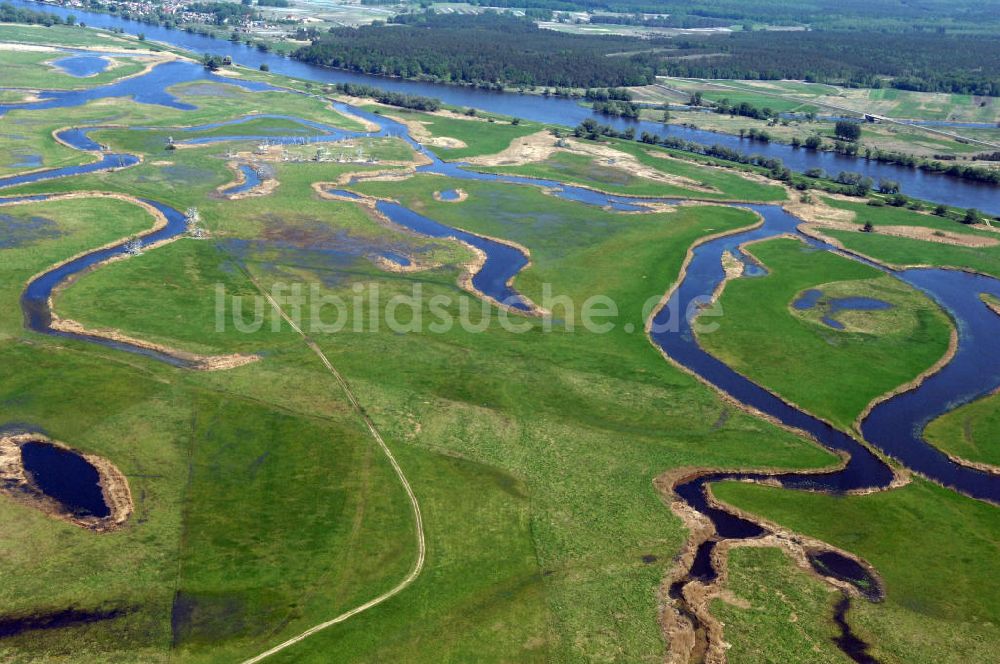 Luftbild SCHWEDT / ODER - Oderwiesen und den Oder Uferbereich am Grenzübergang Schwedt an der Oder