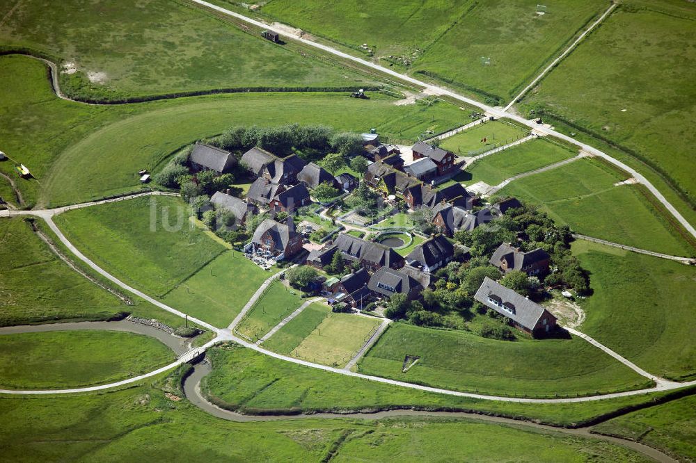 Luftbild Oland - Olandwarft auf der Insel Hallig Oland in Schleswig-Holstein