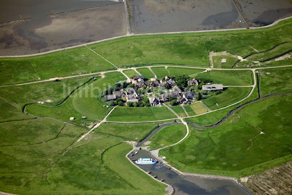 Luftaufnahme Oland - Olandwarft auf der Insel Hallig Oland in Schleswig-Holstein