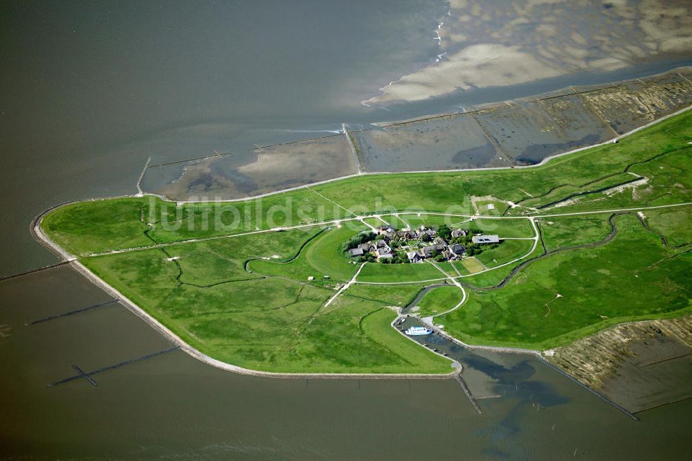 Oland von oben - Olandwarft auf der Insel Hallig Oland in Schleswig-Holstein