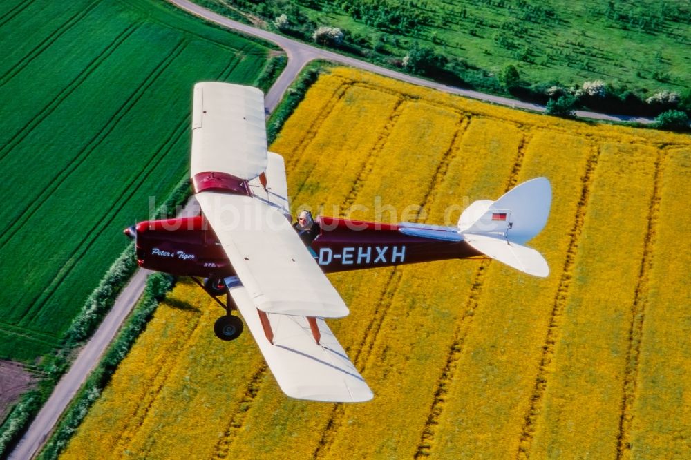 Hürup aus der Vogelperspektive: Oldtimer Flugzeug im Luftraum in Hürup im Bundesland Schleswig-Holstein