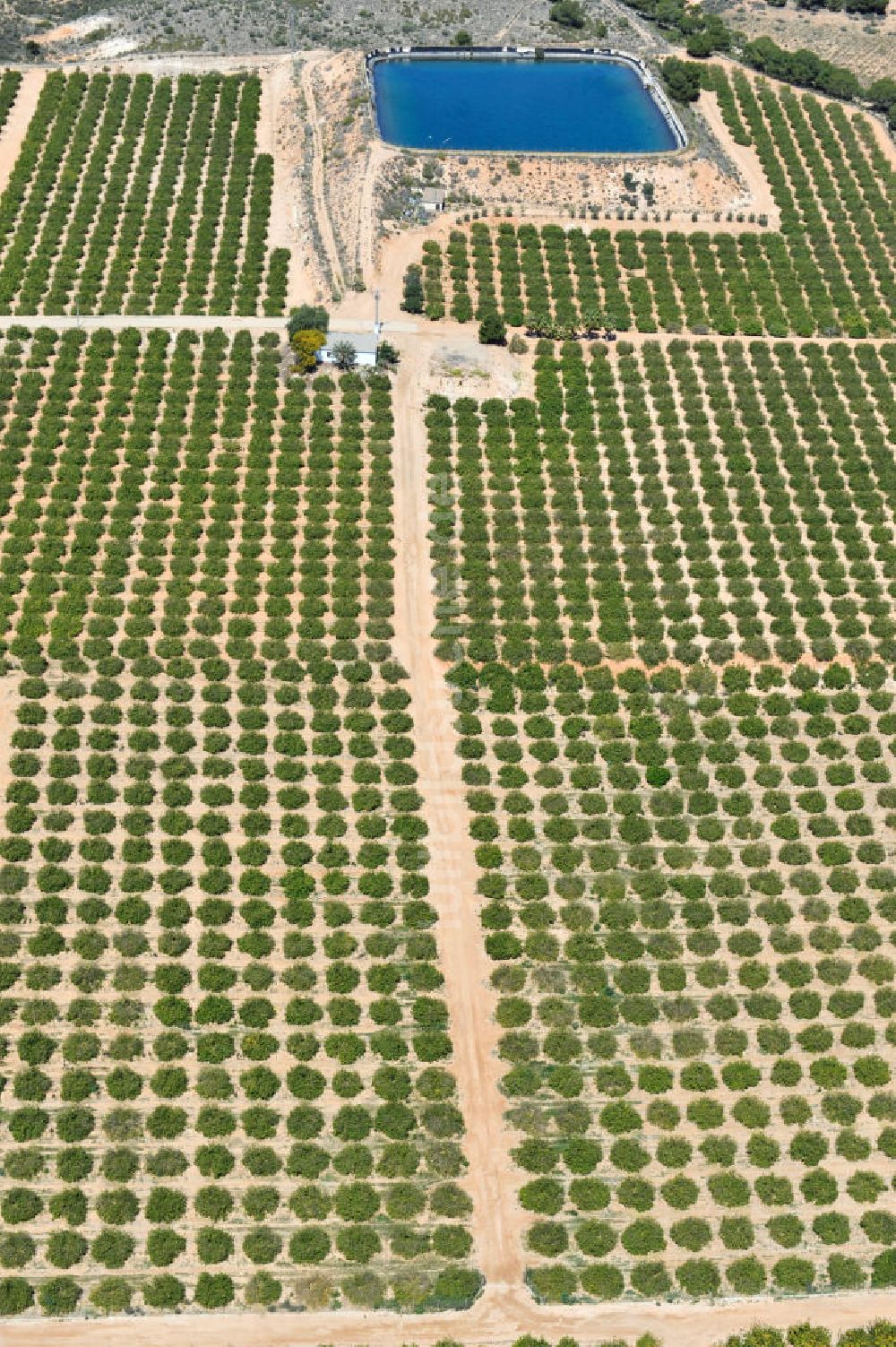 Luftaufnahme Gea y Truyols - Orangen- und Zitronenplantage mit Rückhaltebecken bei Gea y Truyols in Spanien