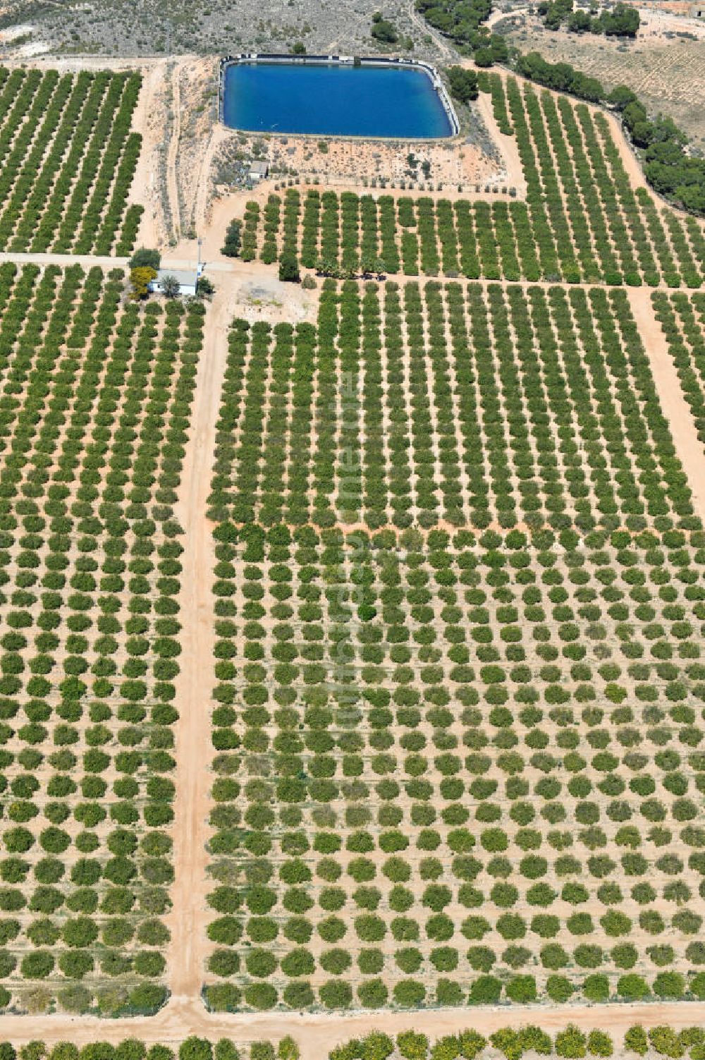 Gea y Truyols von oben - Orangen- und Zitronenplantage mit Rückhaltebecken bei Gea y Truyols in Spanien