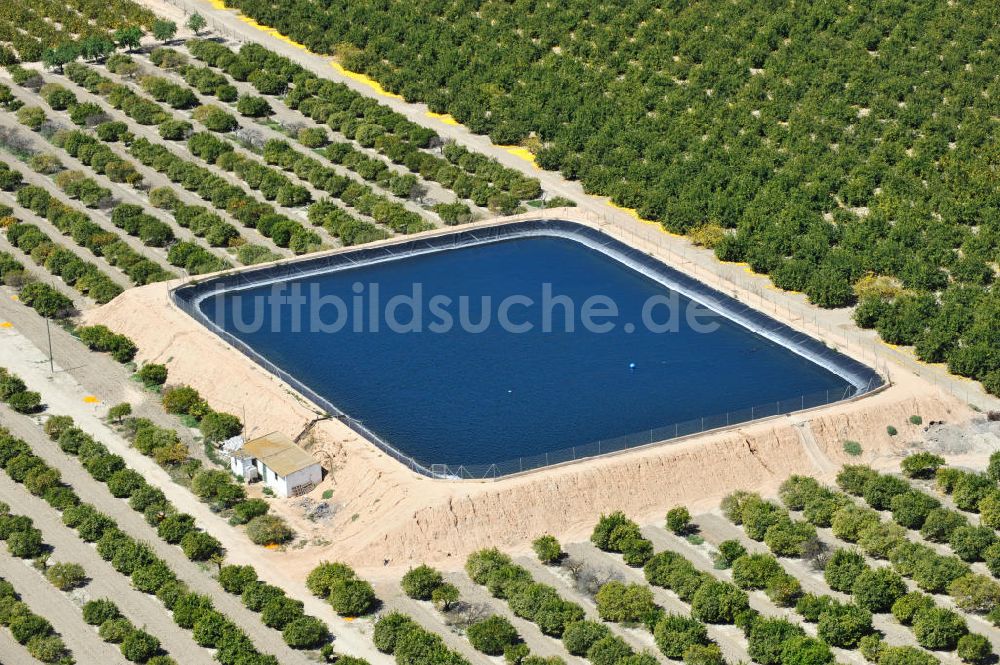 Luftaufnahme Los Martinez - Orangen- und Zitronenplantage mit Rückhaltebecken bei Los Martinz in Spanien