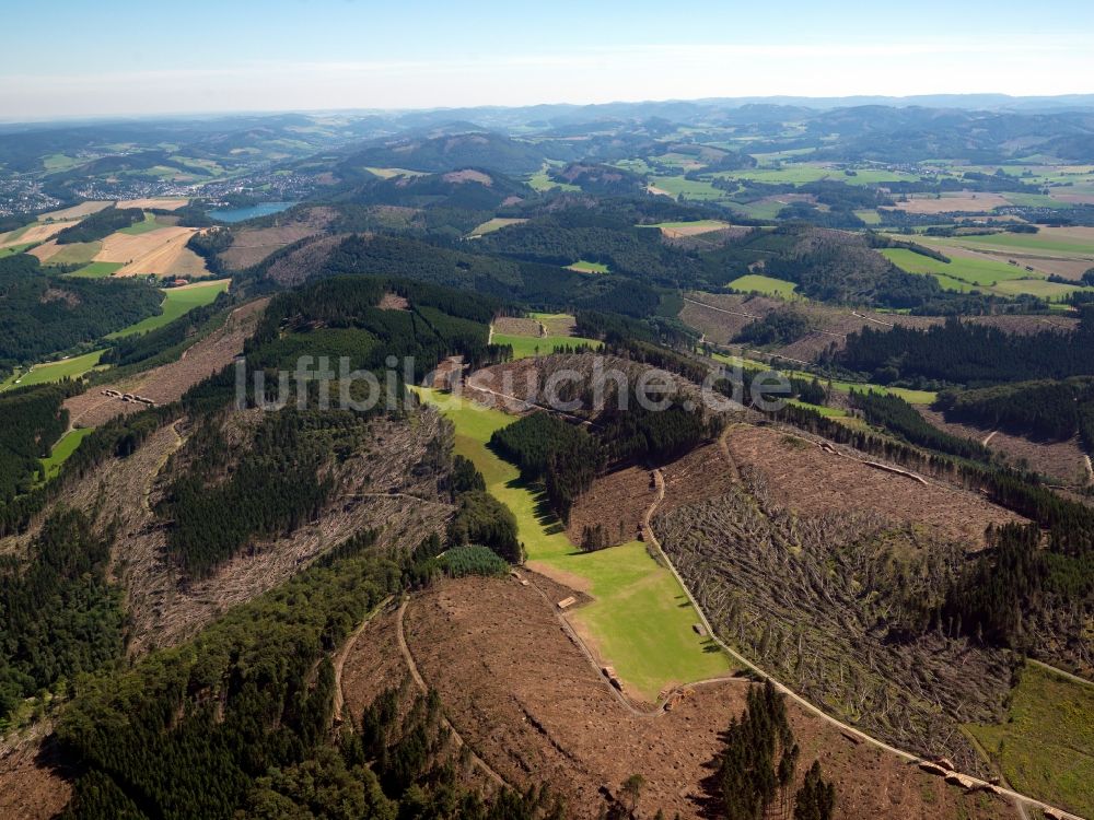 Luftbild Meschede - Orkanschäden / Flurschaden durch den Orkan Kyrill in Waldgebieten bei Meschede im Bundesland Nordrhein-Westfalen