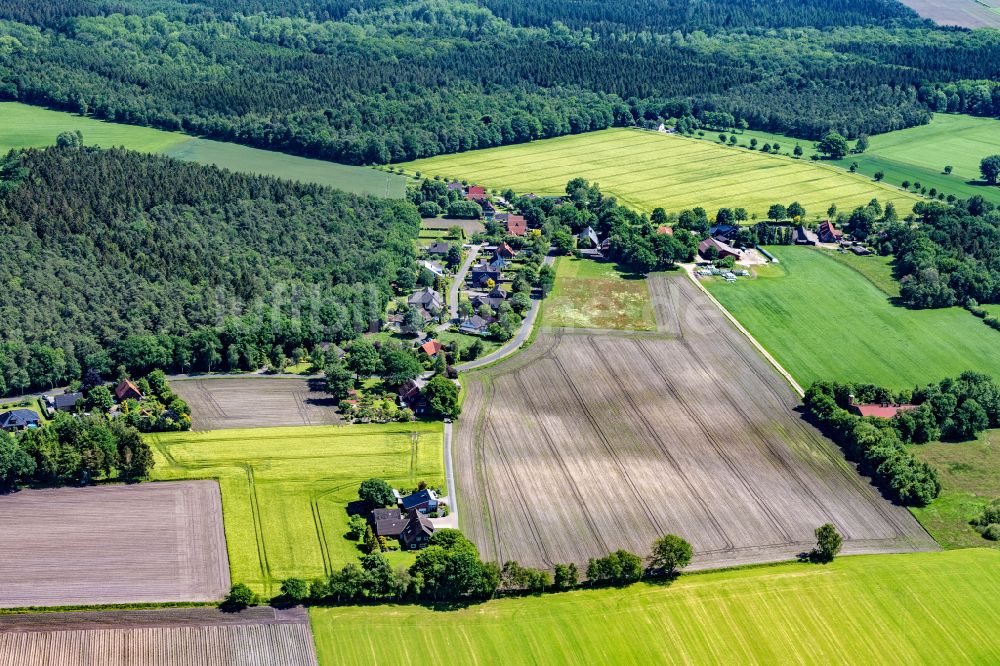 Ahlerstedt aus der Vogelperspektive: Ortsansicht in Ahrensmoor Ost im Bundesland Niedersachsen, Deutschland