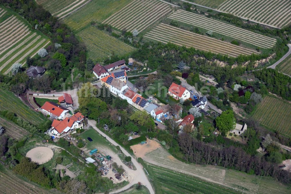 Luftbild Alsheim - Ortsansicht vom Alsheimer OT Hangen-Wahlheim in der Verbandsgemeinde Eich im Bundesland Rheinland-Pfalz