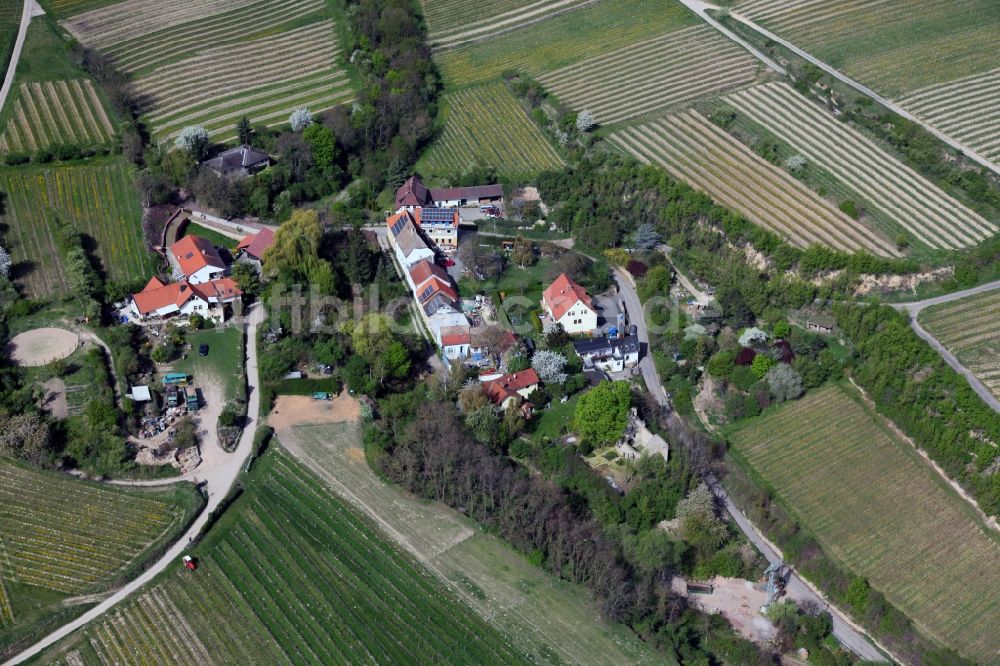 Luftaufnahme Alsheim - Ortsansicht vom Alsheimer OT Hangen-Wahlheim in der Verbandsgemeinde Eich im Bundesland Rheinland-Pfalz